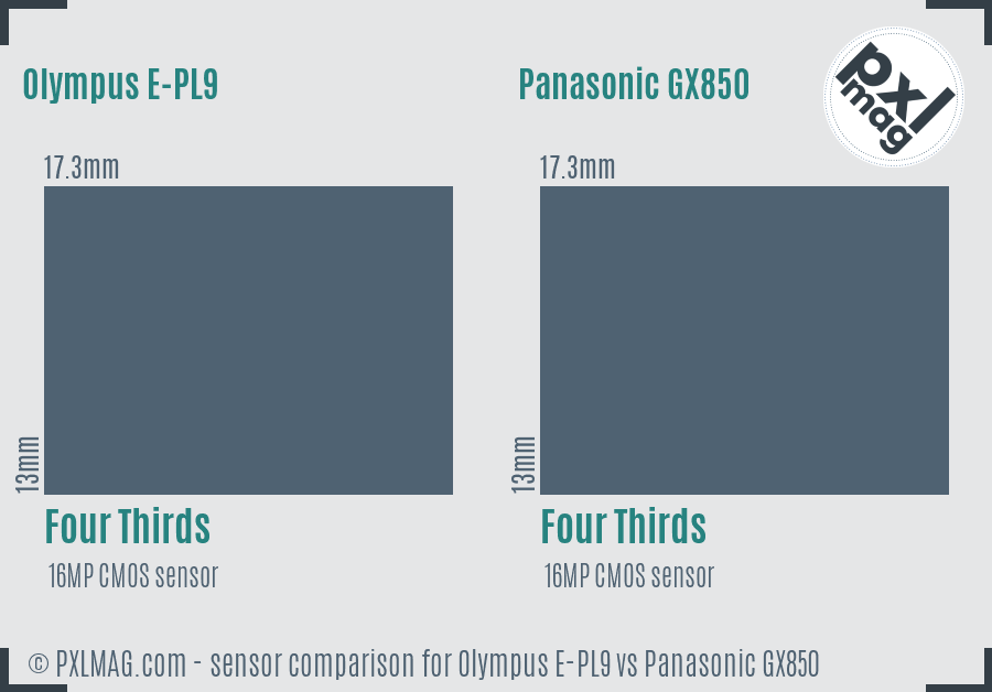 Olympus E-PL9 vs Panasonic GX850 sensor size comparison