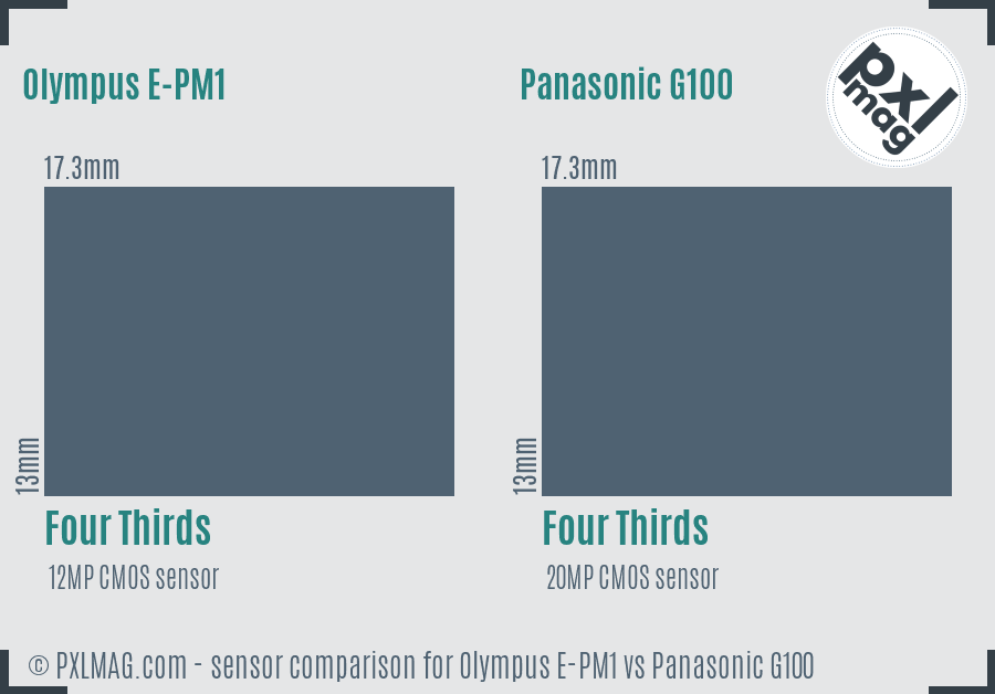 Olympus E-PM1 vs Panasonic G100 sensor size comparison