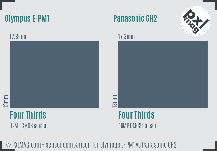 Olympus E-PM1 vs Panasonic GH2 sensor size comparison