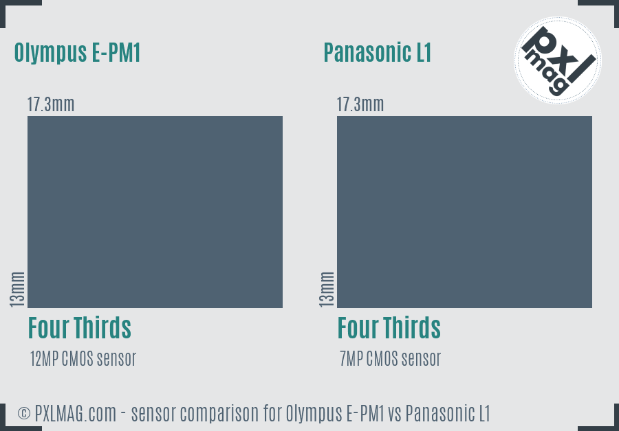 Olympus E-PM1 vs Panasonic L1 sensor size comparison