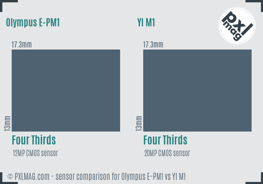 Olympus E-PM1 vs YI M1 sensor size comparison
