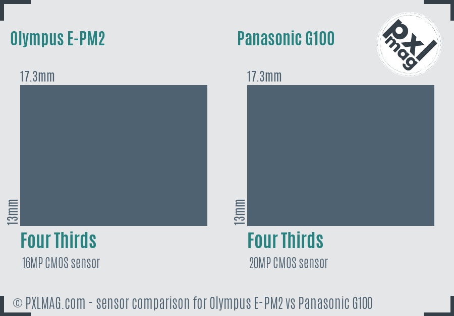 Olympus E-PM2 vs Panasonic G100 sensor size comparison
