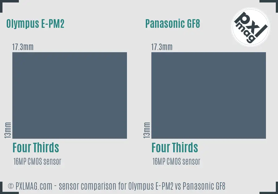 Olympus E-PM2 vs Panasonic GF8 sensor size comparison