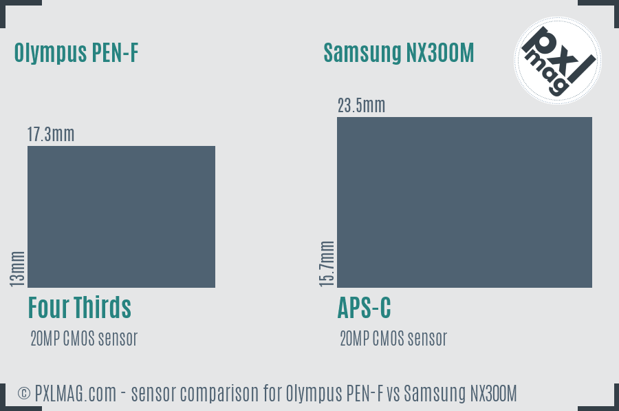 Olympus PEN-F vs Samsung NX300M sensor size comparison