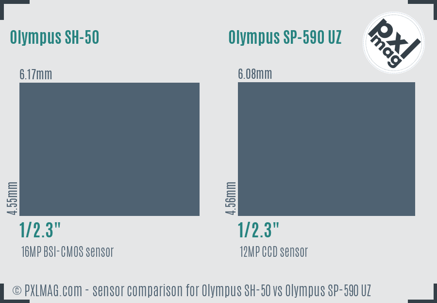 Olympus SH-50 vs Olympus SP-590 UZ sensor size comparison