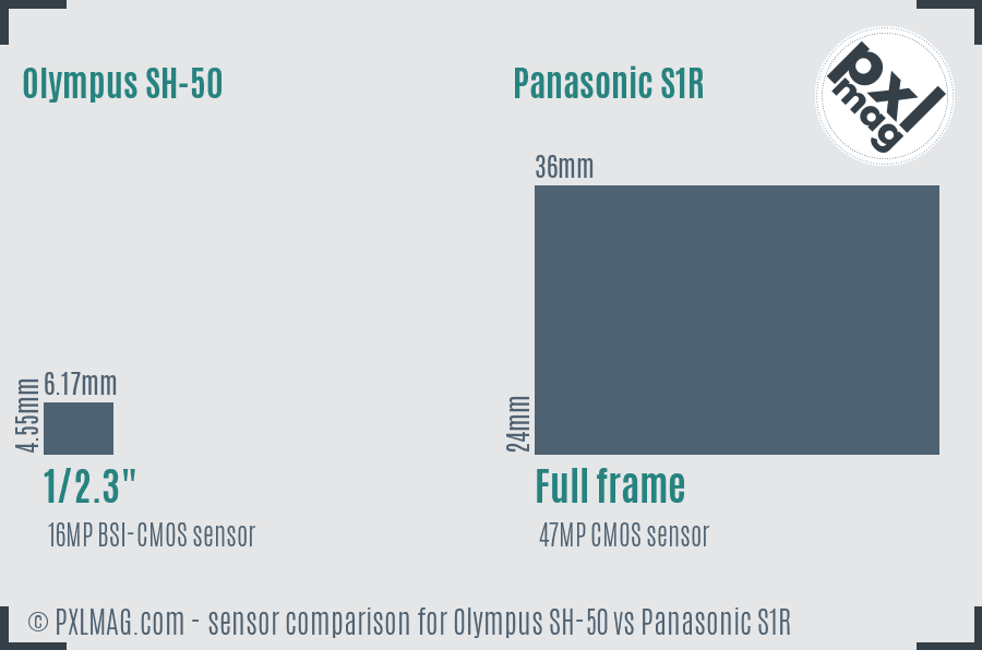 Olympus SH-50 vs Panasonic S1R sensor size comparison