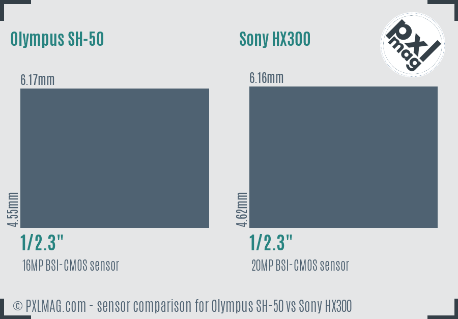 Olympus SH-50 vs Sony HX300 sensor size comparison