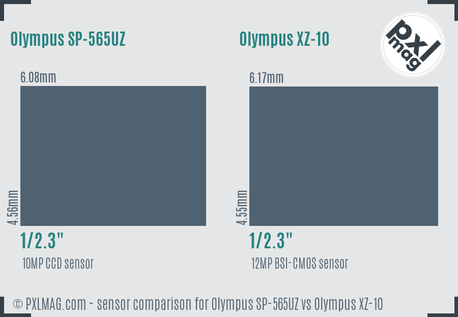 Olympus SP-565UZ vs Olympus XZ-10 sensor size comparison