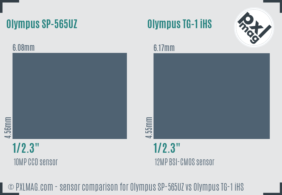 Olympus SP-565UZ vs Olympus TG-1 iHS sensor size comparison