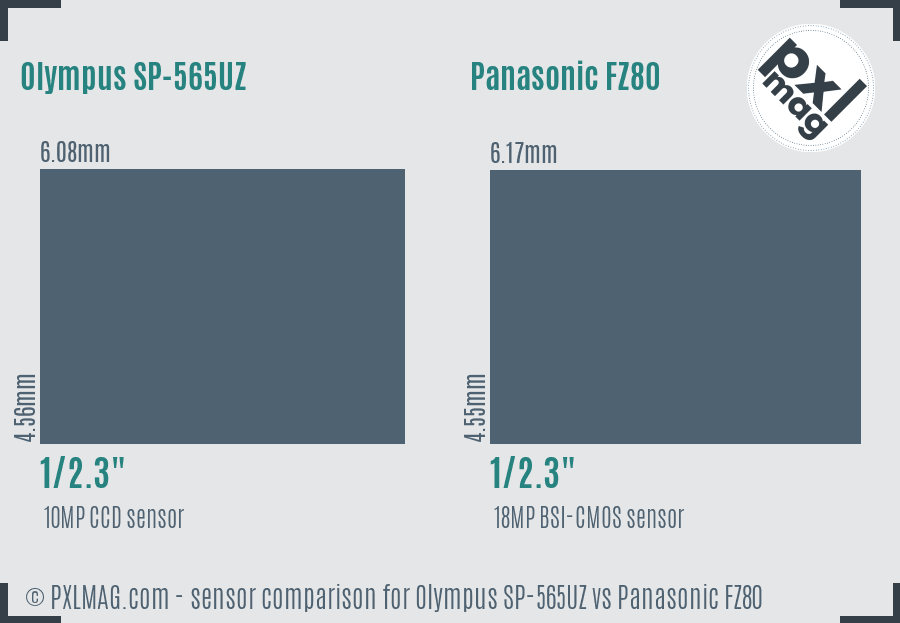 Olympus SP-565UZ vs Panasonic FZ80 sensor size comparison