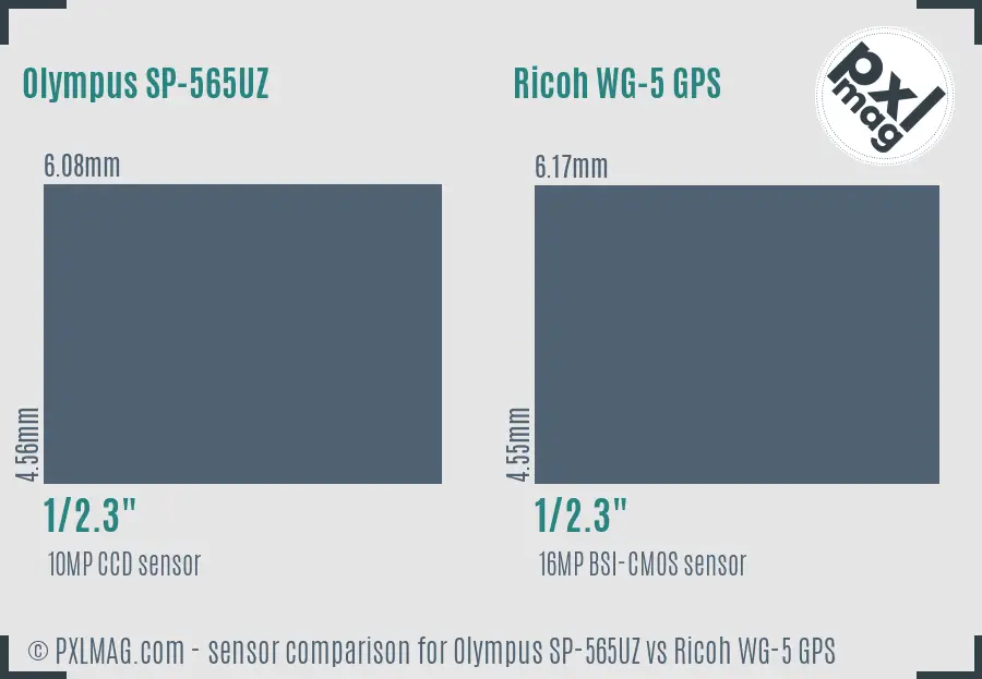 Olympus SP-565UZ vs Ricoh WG-5 GPS sensor size comparison