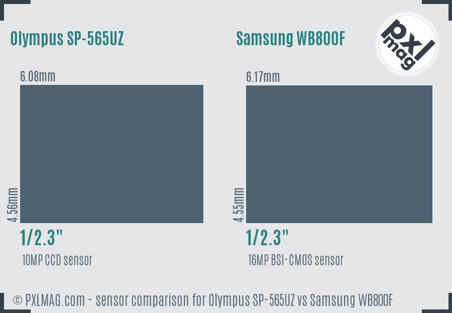 Olympus SP-565UZ vs Samsung WB800F sensor size comparison