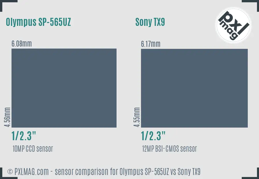 Olympus SP-565UZ vs Sony TX9 sensor size comparison