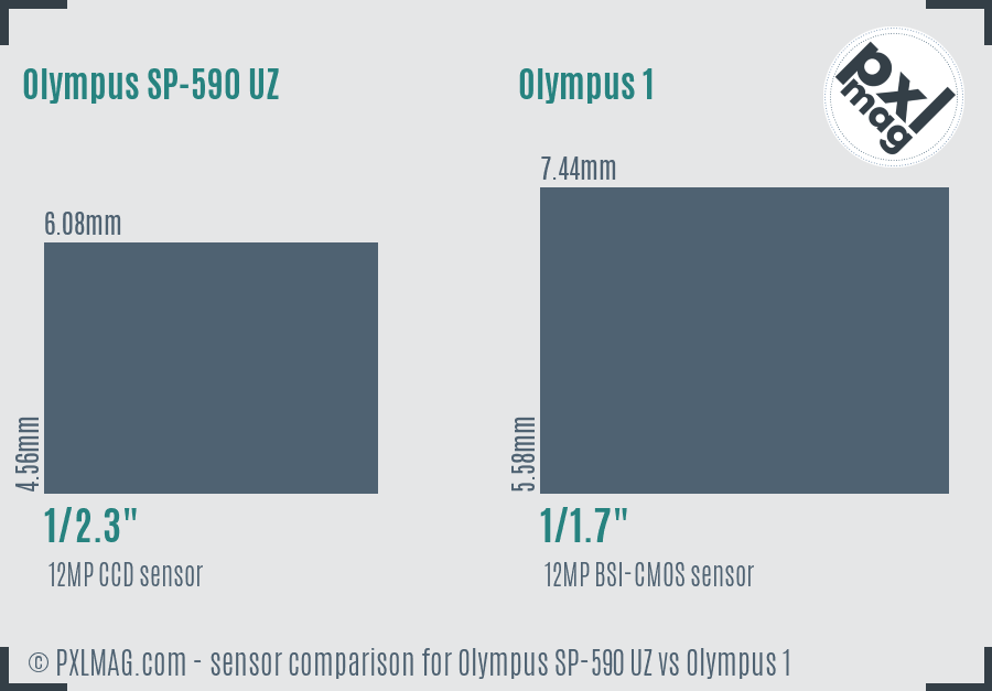Olympus SP-590 UZ vs Olympus 1 sensor size comparison