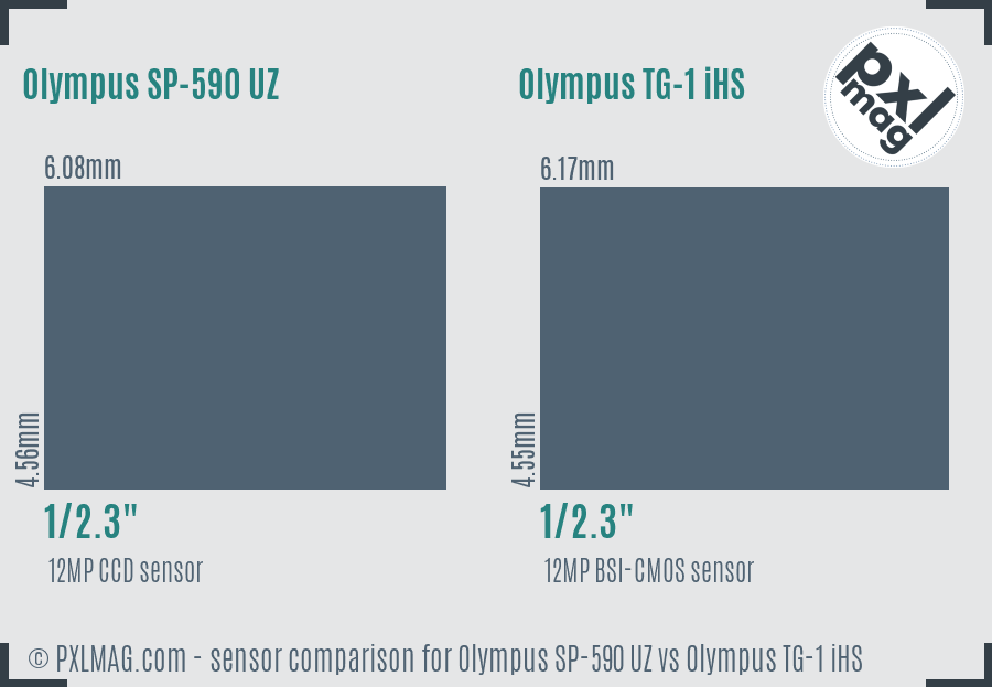 Olympus SP-590 UZ vs Olympus TG-1 iHS sensor size comparison