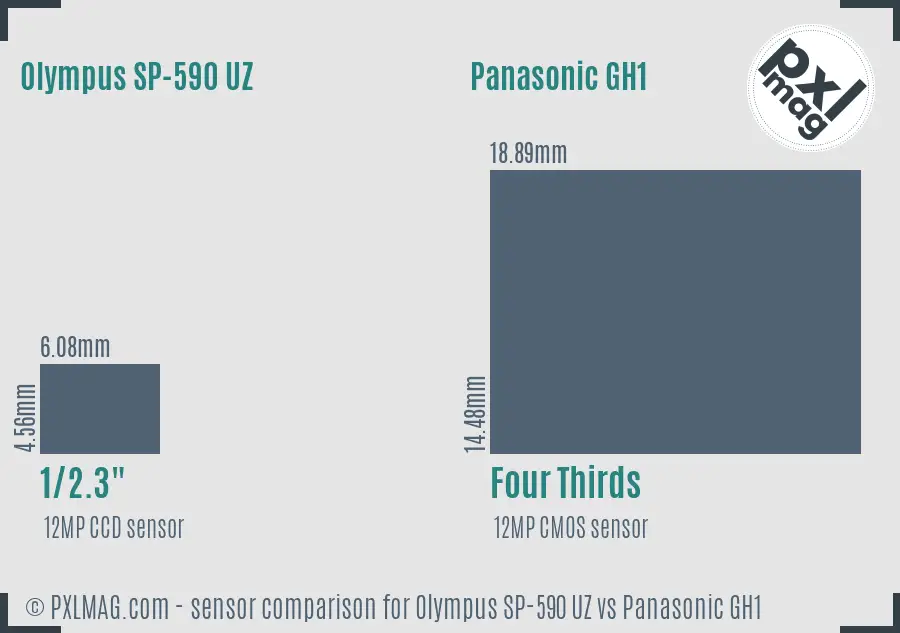 Olympus SP-590 UZ vs Panasonic GH1 sensor size comparison