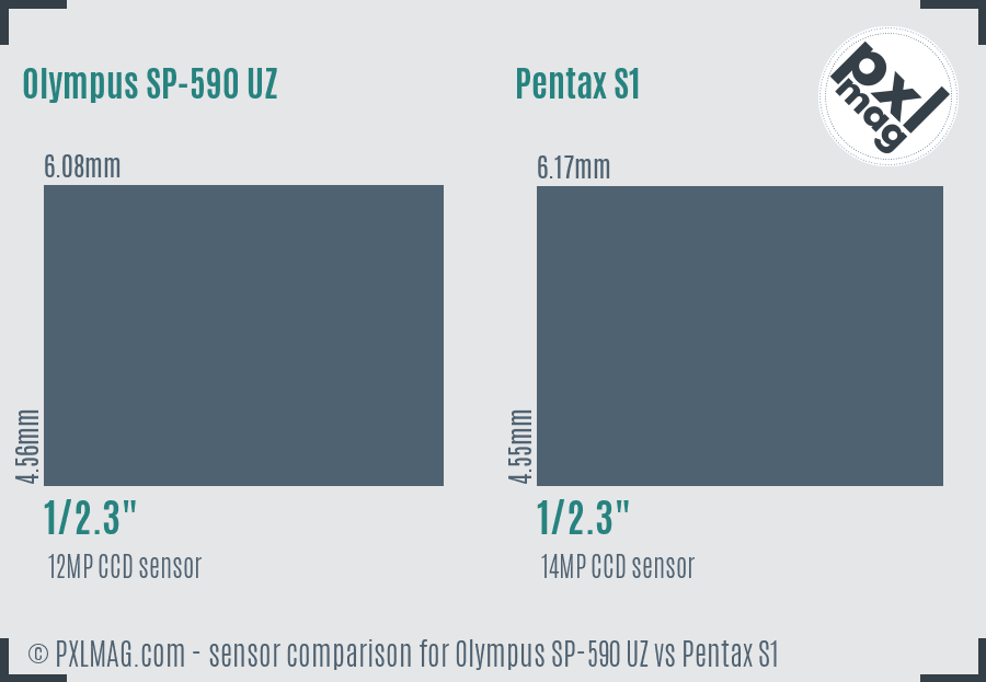 Olympus SP-590 UZ vs Pentax S1 sensor size comparison