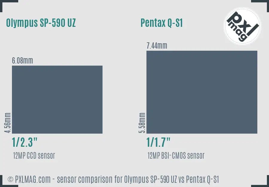 Olympus SP-590 UZ vs Pentax Q-S1 sensor size comparison