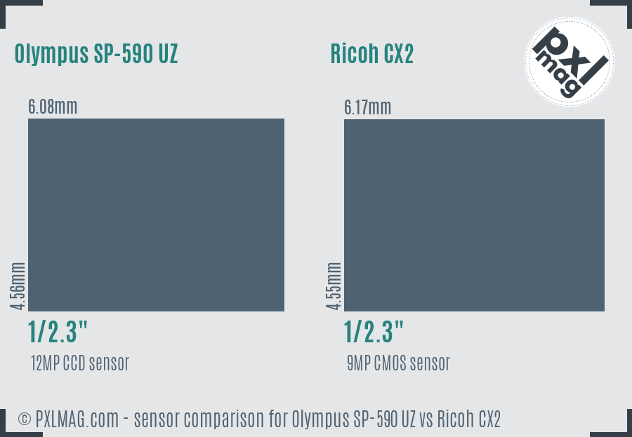 Olympus SP-590 UZ vs Ricoh CX2 sensor size comparison