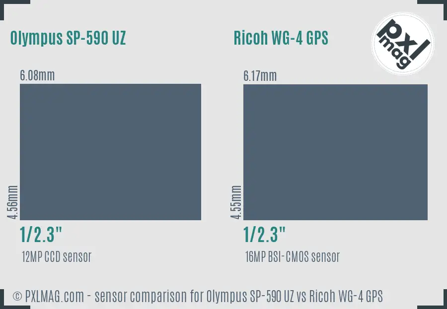 Olympus SP-590 UZ vs Ricoh WG-4 GPS sensor size comparison