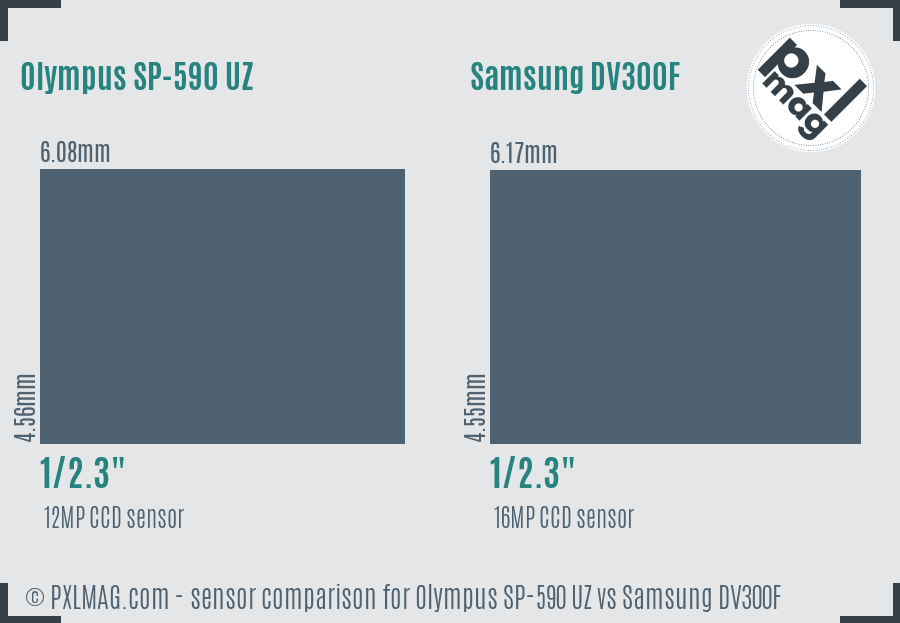 Olympus SP-590 UZ vs Samsung DV300F sensor size comparison