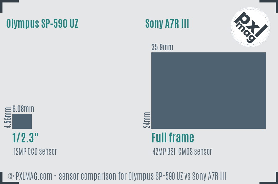 Olympus SP-590 UZ vs Sony A7R III sensor size comparison