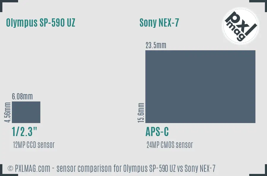 Olympus SP-590 UZ vs Sony NEX-7 sensor size comparison