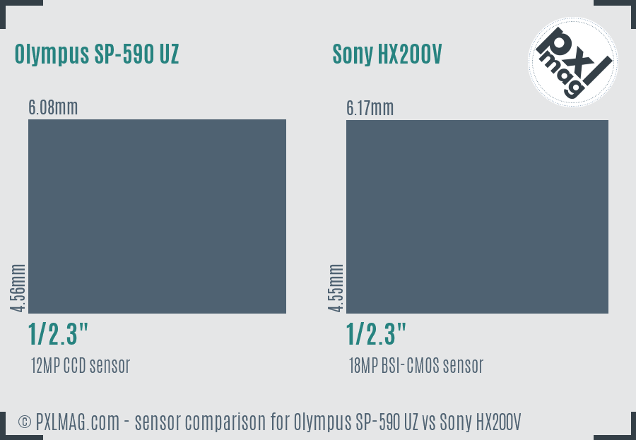 Olympus SP-590 UZ vs Sony HX200V sensor size comparison