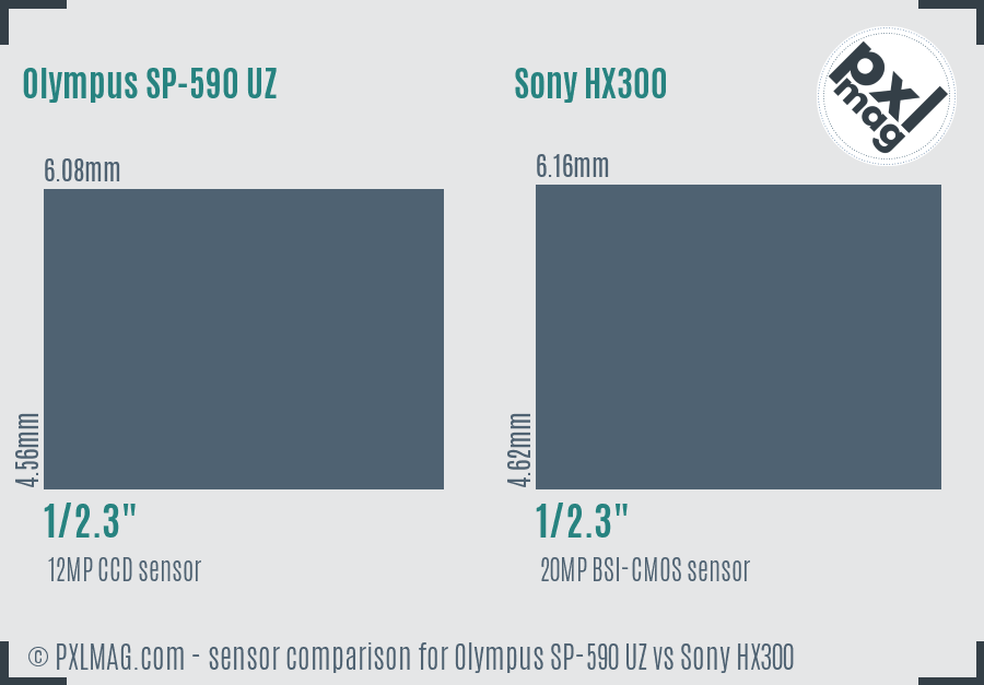Olympus SP-590 UZ vs Sony HX300 sensor size comparison