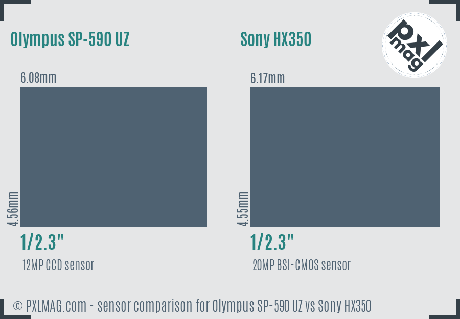 Olympus SP-590 UZ vs Sony HX350 sensor size comparison