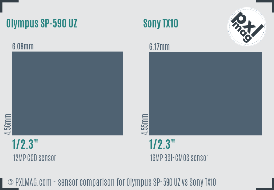 Olympus SP-590 UZ vs Sony TX10 sensor size comparison