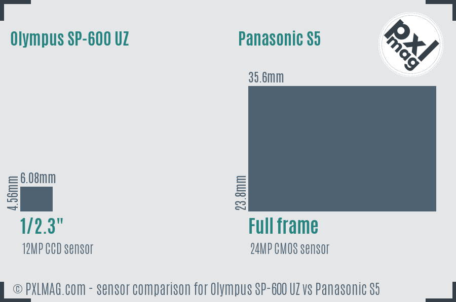 Olympus SP-600 UZ vs Panasonic S5 sensor size comparison