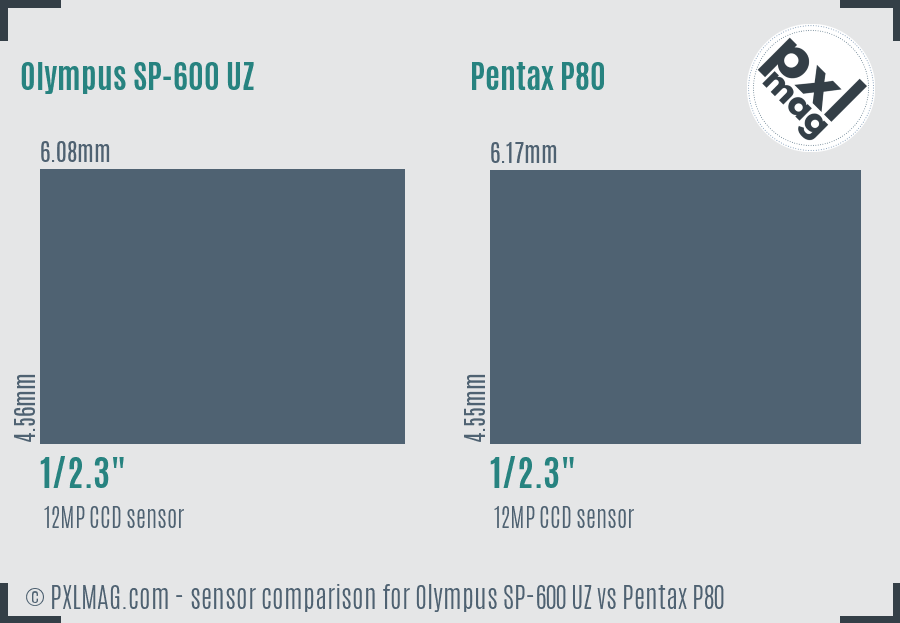 Olympus SP-600 UZ vs Pentax P80 sensor size comparison