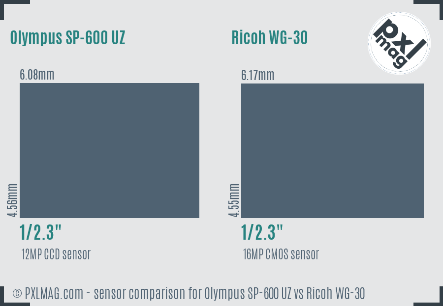 Olympus SP-600 UZ vs Ricoh WG-30 sensor size comparison