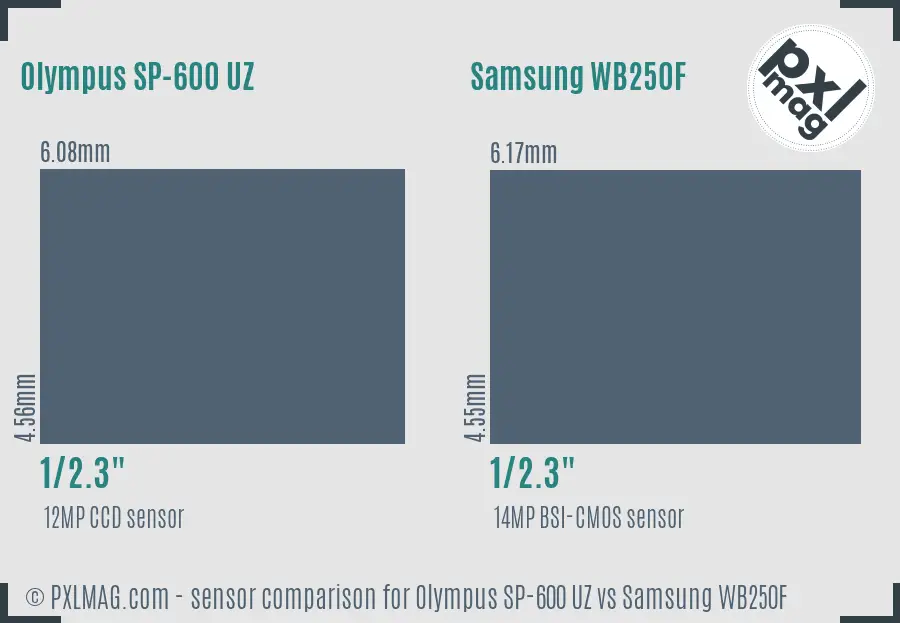 Olympus SP-600 UZ vs Samsung WB250F sensor size comparison