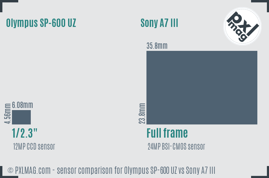 Olympus SP-600 UZ vs Sony A7 III sensor size comparison