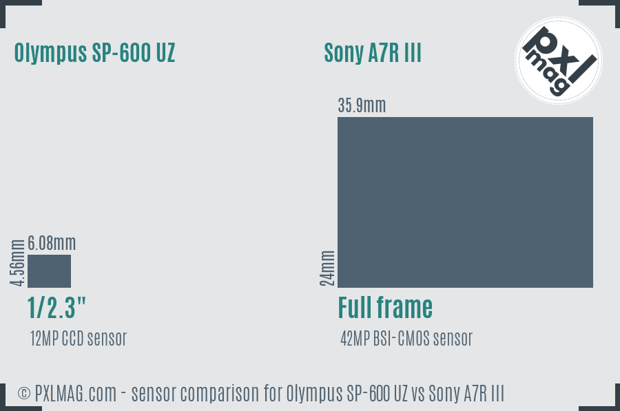 Olympus SP-600 UZ vs Sony A7R III sensor size comparison