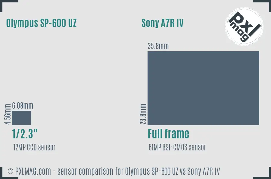 Olympus SP-600 UZ vs Sony A7R IV sensor size comparison