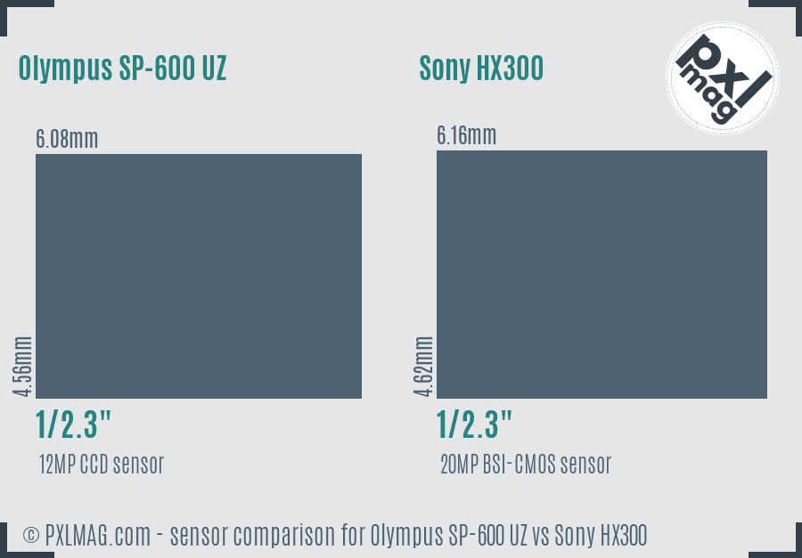 Olympus SP-600 UZ vs Sony HX300 sensor size comparison