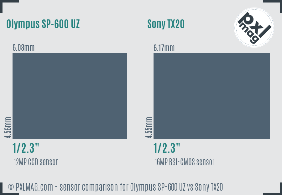 Olympus SP-600 UZ vs Sony TX20 sensor size comparison