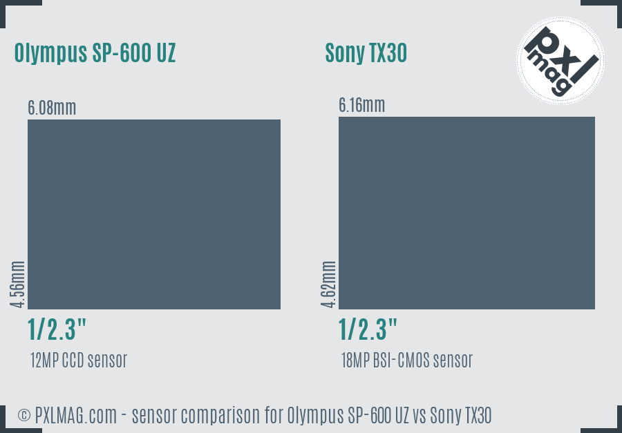 Olympus SP-600 UZ vs Sony TX30 sensor size comparison
