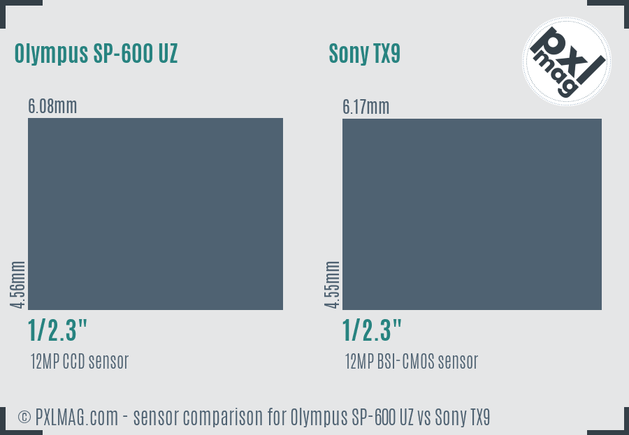 Olympus SP-600 UZ vs Sony TX9 sensor size comparison