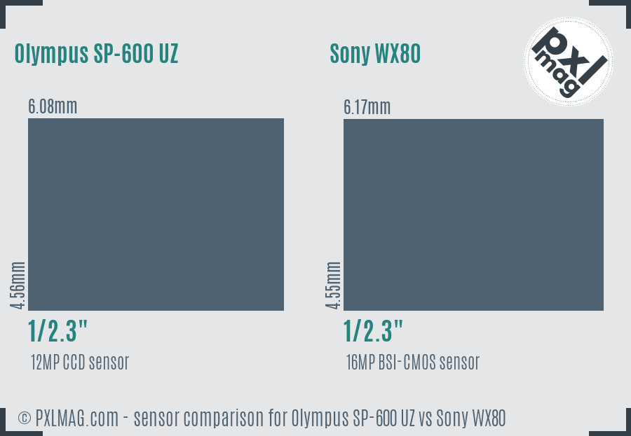 Olympus SP-600 UZ vs Sony WX80 sensor size comparison