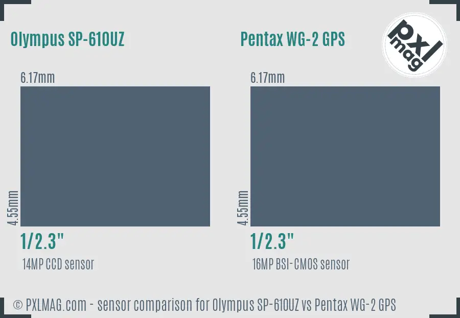 Olympus SP-610UZ vs Pentax WG-2 GPS sensor size comparison