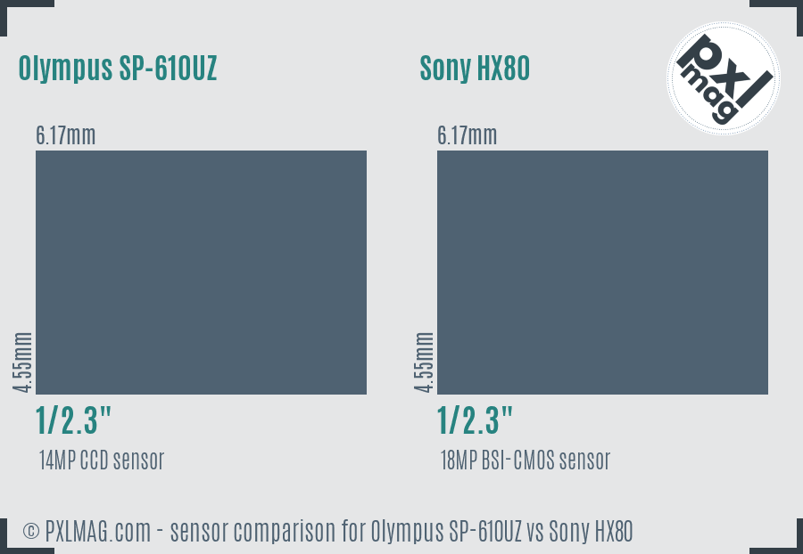 Olympus SP-610UZ vs Sony HX80 sensor size comparison