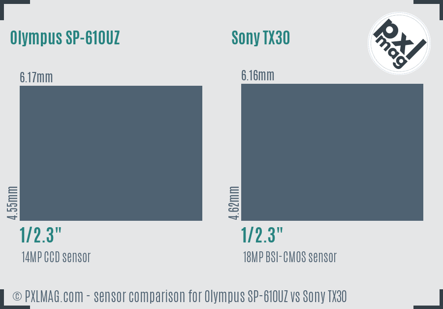 Olympus SP-610UZ vs Sony TX30 sensor size comparison