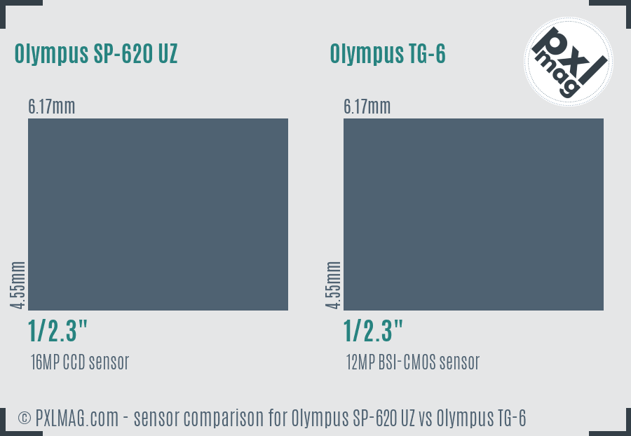 Olympus SP-620 UZ vs Olympus TG-6 sensor size comparison