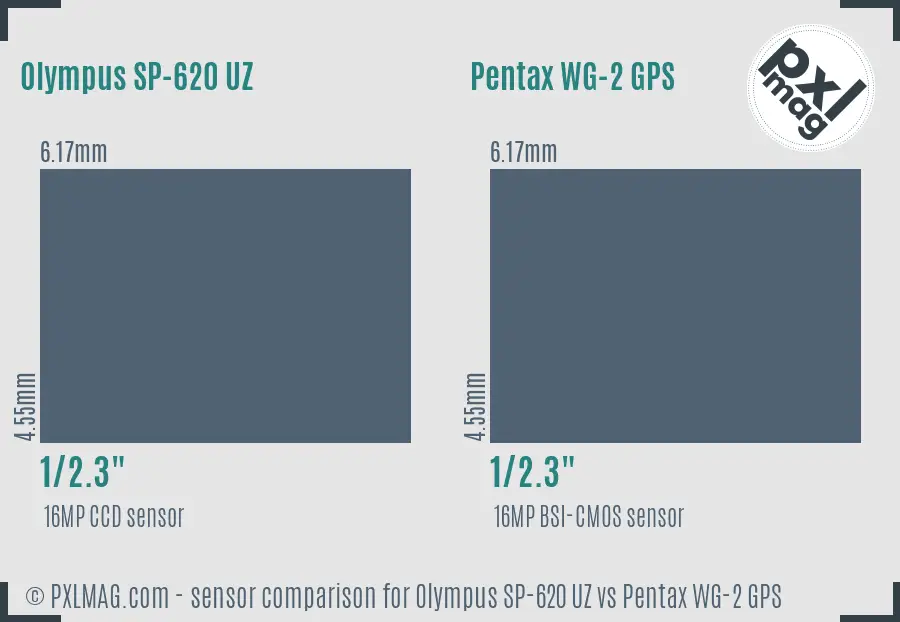 Olympus SP-620 UZ vs Pentax WG-2 GPS sensor size comparison