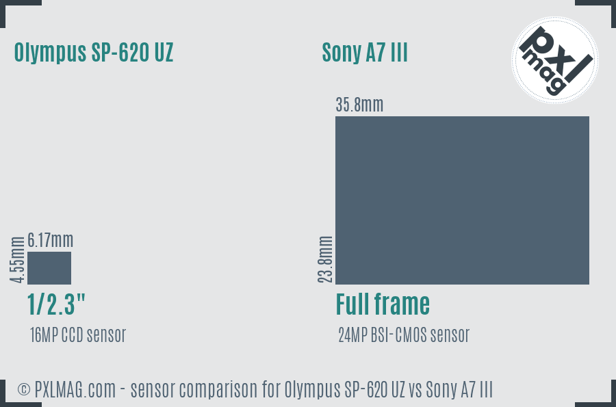 Olympus SP-620 UZ vs Sony A7 III sensor size comparison