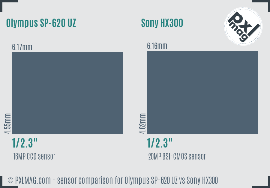 Olympus SP-620 UZ vs Sony HX300 sensor size comparison